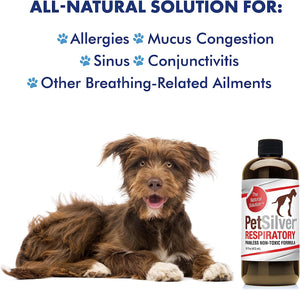 PetSilver Respiratory Solution with Chelated Silver for Cats and Dogs, Gentle Allergen Free Formula, Use with Nebulizer or Syringe, Fragrance and Flavor Free, 16 oz.