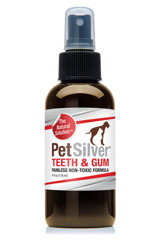 PetSilver Teeth & Gum Spray for Dogs & Cats, Eliminate Bad Breath, Natural Pet Dental Care Solution, Targets Tartar & Plaque, Clean Teeth Without Brushing, Easy to Apply, Chelated Silver, 4 oz.
