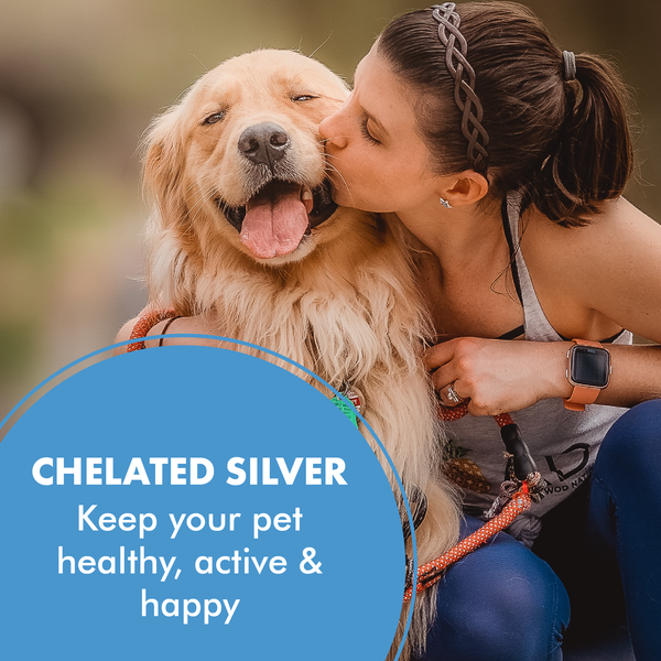 PetSilver Wound Spray with Chelated Silver, Vet Formulated, All Natural Pain Free Formula, Relief for Hot Spots, Wounds and Burns